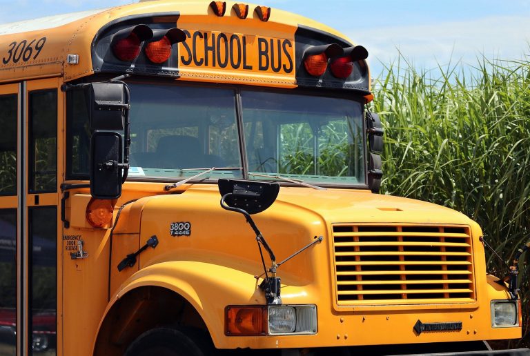 Police on sharing the road with school buses