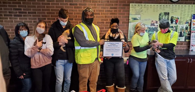 Kittens saved after being abandoned at recycling center