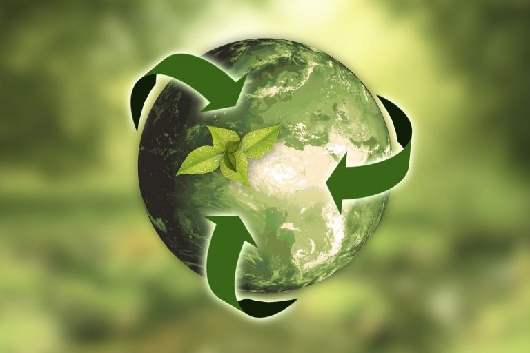 New recycle app provides info to Monroe residents