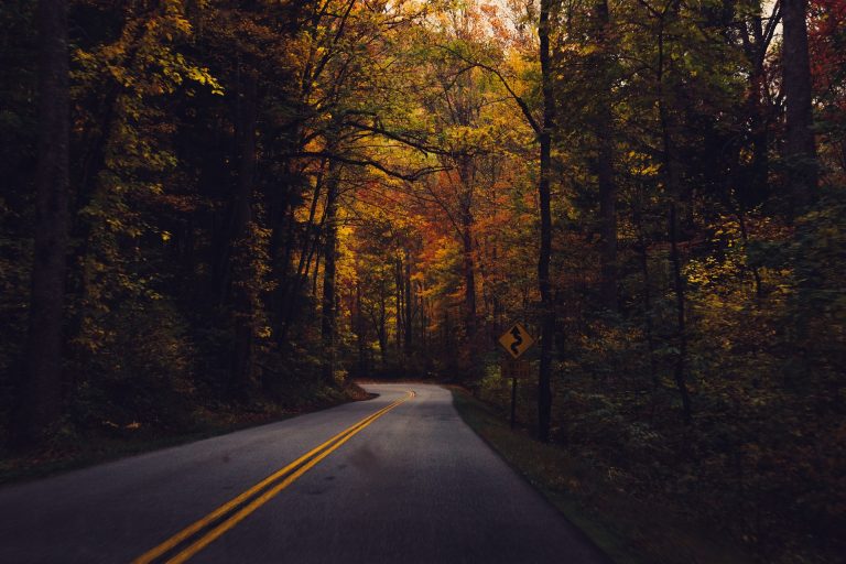 Pine Barrens Byway gets national designation