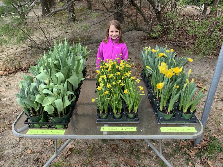 Spring flowers grow entrepreneurial spark in Tabernacle 7-year-old