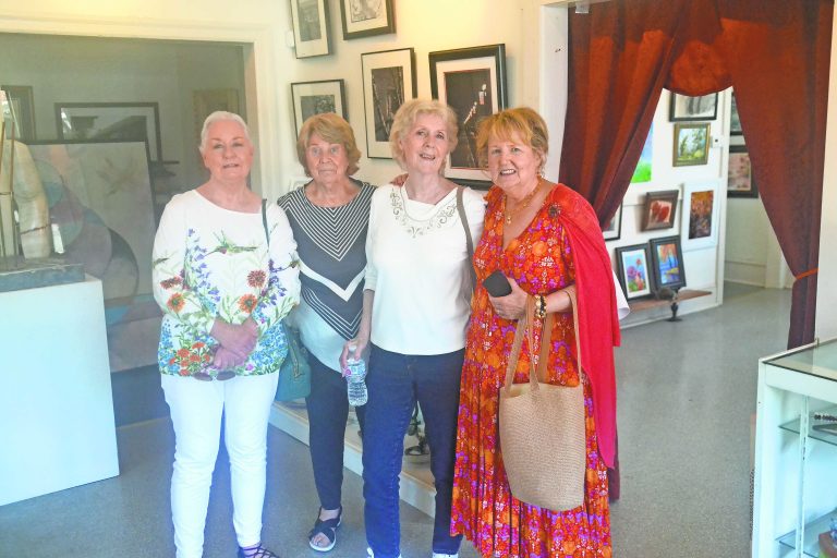 Harrison Township 55 and older program holds art exhibit after months of virtual classes