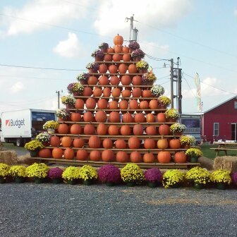 Annual Pumpkin Show Festival returns to Salem County Fairgrounds