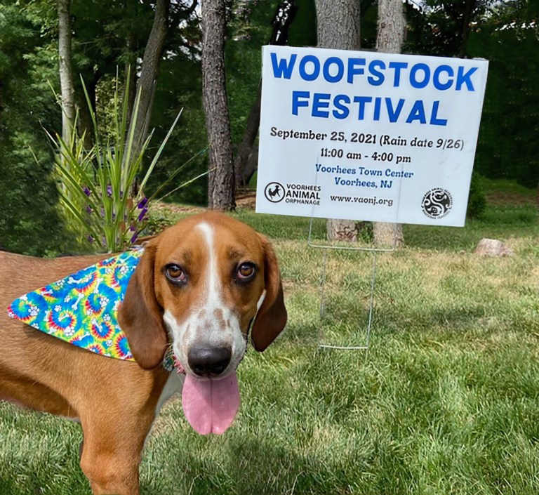 Voorhees Animal Orphanage hosts 25th annual Woofstock Festival