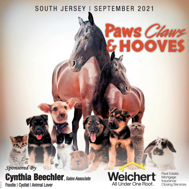 Paws Claws & Hooves | Sept 2021