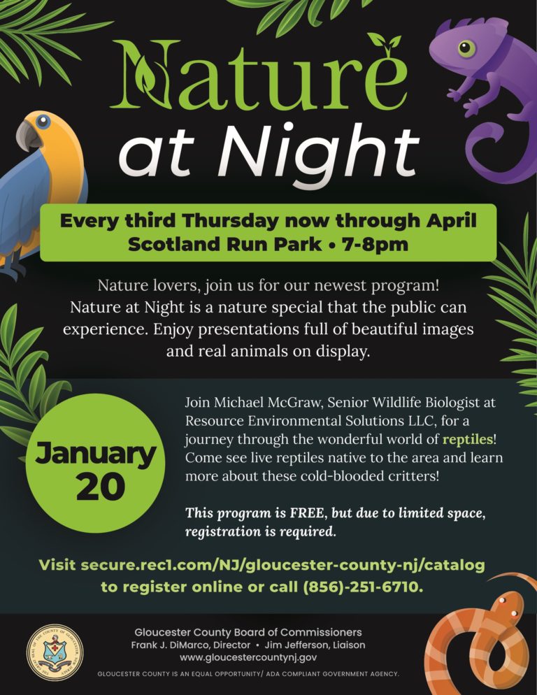 Calling all nature lovers: join Gloucester County for Nature at Night