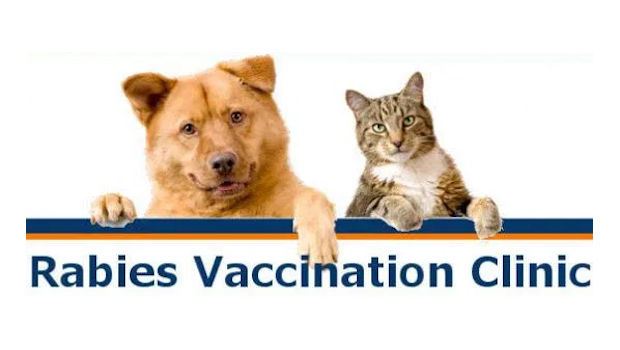 Dates announced for 2022 free rabies clinics