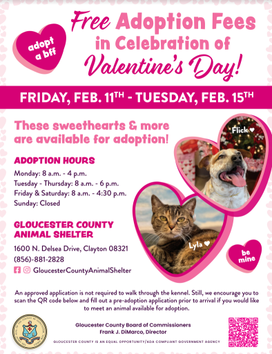 Find your furr-ever friend at GCAS this Valentine’s Day