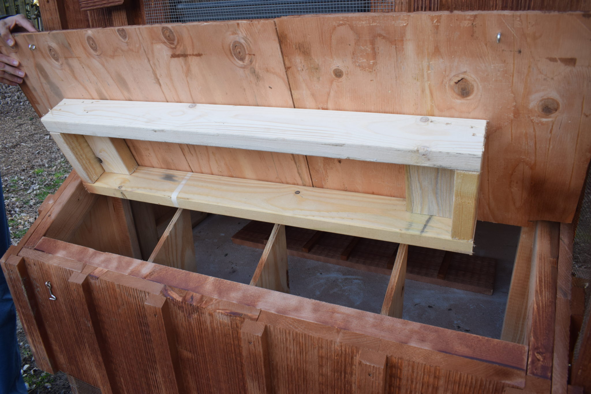 Haddonfield residents can now apply for backyard chicken permit The