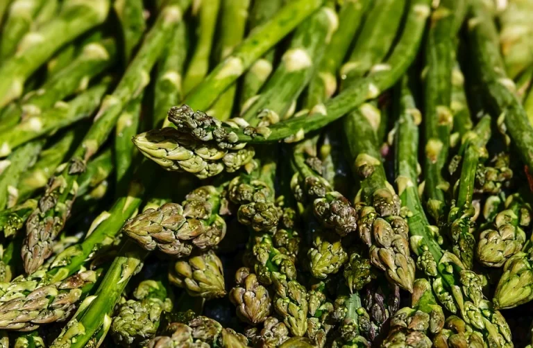 Asparagus recipes wanted for Mullica Hill’s asparagus festival