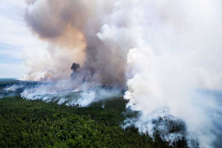 Wharton State Forest blaze now mostly contained