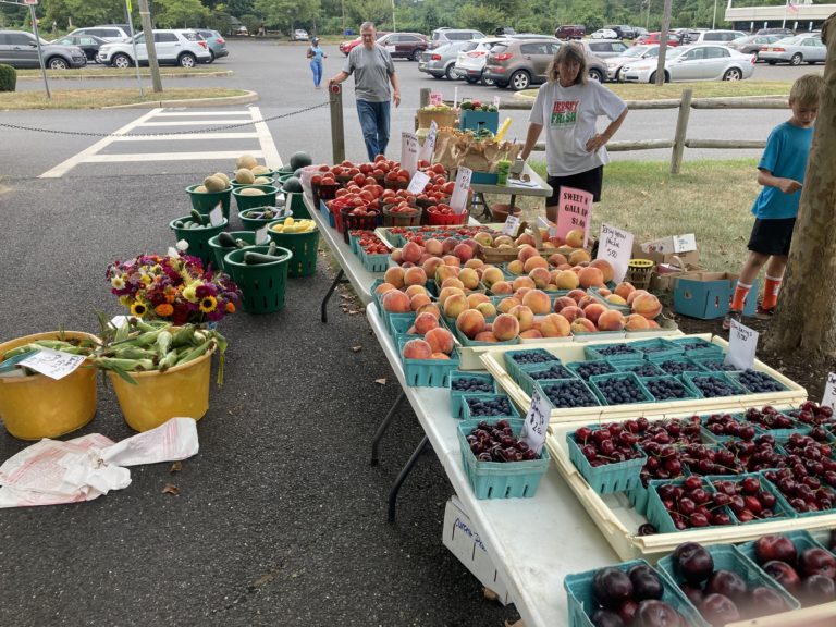 County distributes farmers market vouchers