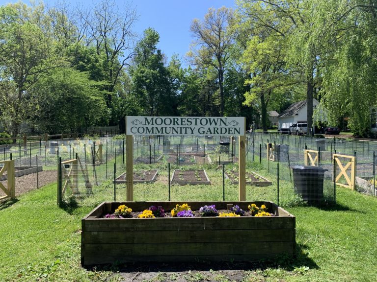 Community garden members advise residents to request for plots