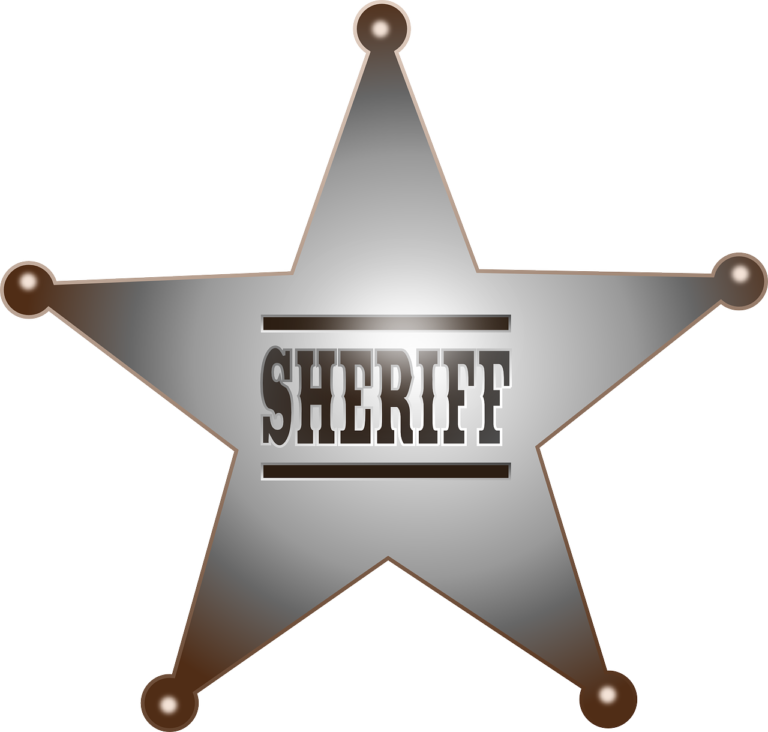 County Sheriff’s Office recognized for heroic effort