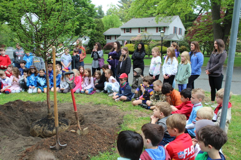 Arbor Day Foundation Names Haddonfield “Tree City USA” for the 30th year