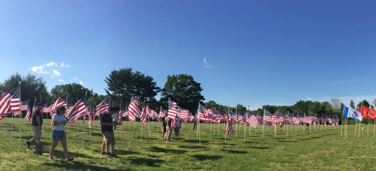 Field of Honor returns to Freedom Park