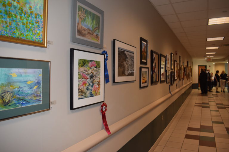 Senior citizens showcase their art