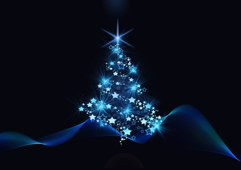 Sponsor a Rotary Club Christmas tree 
