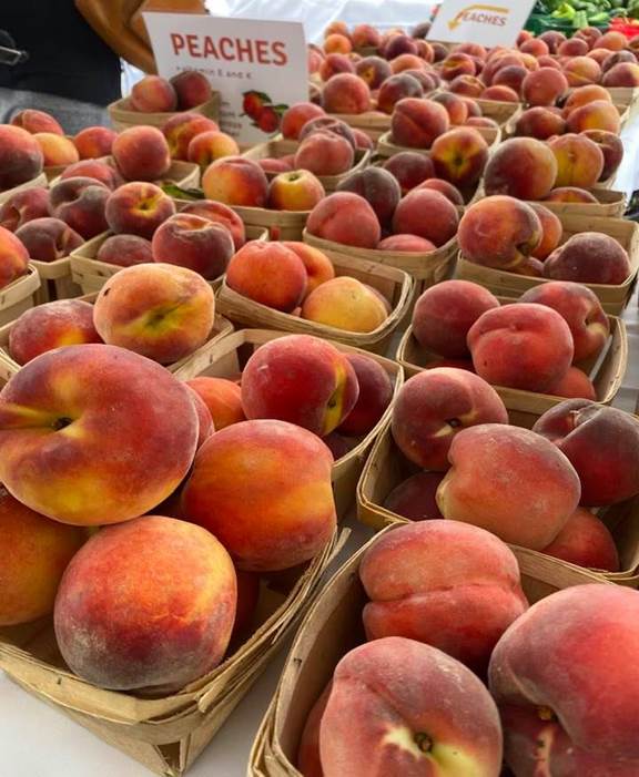 Burlington County Farmers Market celebrates peach season
