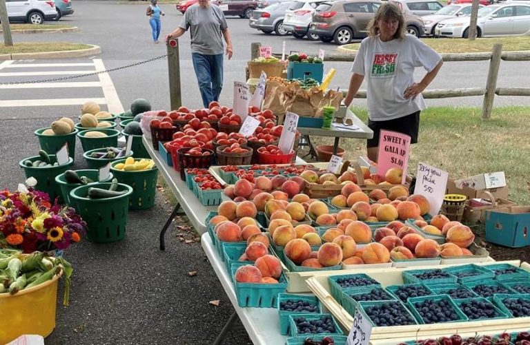 County holding special event to help seniors obtain free farmers market vouchers