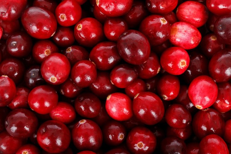 History of the cranberry