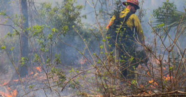 Firefighters use prescribed burn to enhance ecology