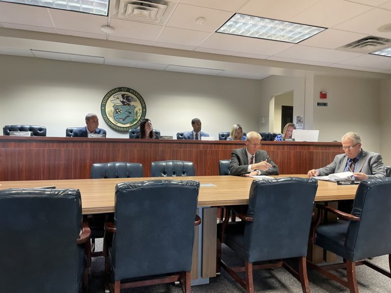Committee offers ordinances focused on redevelopment plans