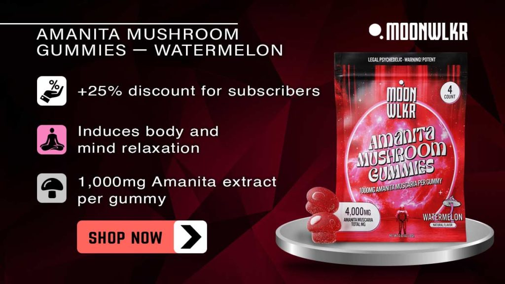 Amanita Mushroom Gummies — Watermelon