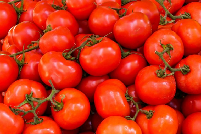 Celebrate Tomato Day at the Burlington County Farmers Market