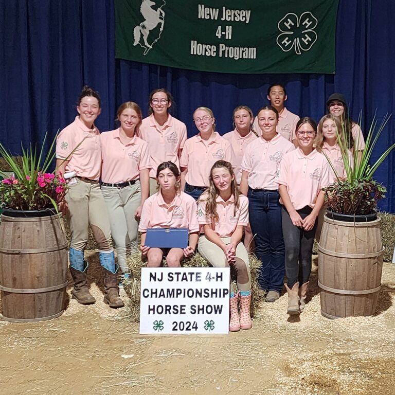 4-H equestrian team competes at state show