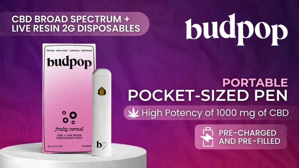 BudPop CBD Broad Spectrum + Live Resin 2G Disposables (1000 mg)