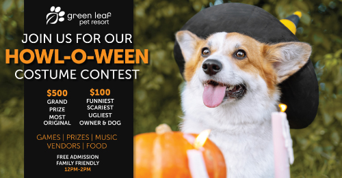 Free Event! Doggie Halloween Costume Contest - Cash Prizes!