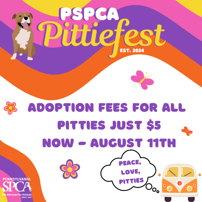 Pennsylvania SPCA sponsors summer ‘Pittiefest’ through Aug. 11