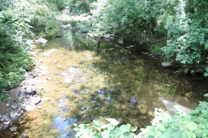 Upstream movement: Friends of Poquessing Creek Watershed seeks new volunteers