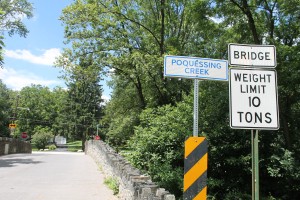 The Friends of Poquessing Creek Watershed held its 25th anniversary celebration in Bensalem in June. The event was well-attended, but resulted in recruiting only one member. Members hope upcoming events, like an Aug. 8 cleanup and Aug. 16 birdwalk, both at Benjamin Rush State Park, can attract others to the cause. MATT SCHICKLING / WIRE PHOTO