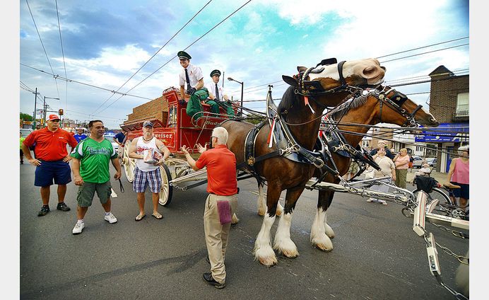 The Budweiser Clydesdales arrive in Bristol on Labor Day