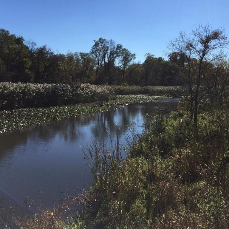 Silver Lake Nature Center announces upcoming events