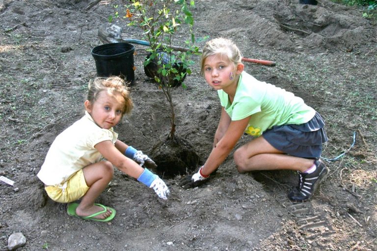 G.O.A.L.S. volunteers are helping local environment