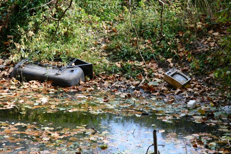 G.O.A.L.S. volunteers are picking up decades of debris