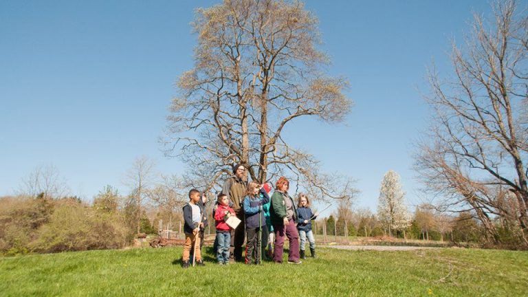 Bucks Audubon presents BioBlitz 2019