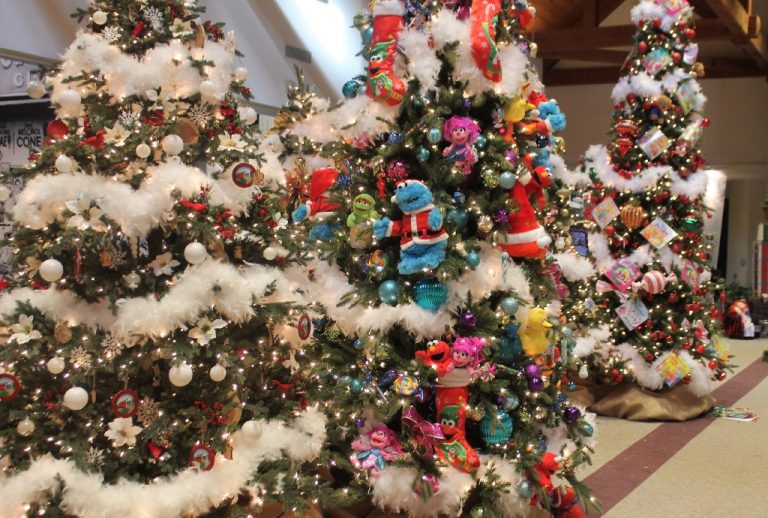 Local White House decorator creates ‘Holiday Trees’ display