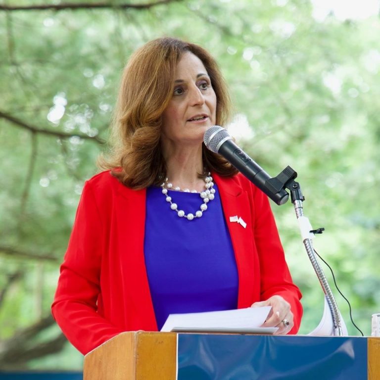 Debbie Wachspress ends congressional campaign