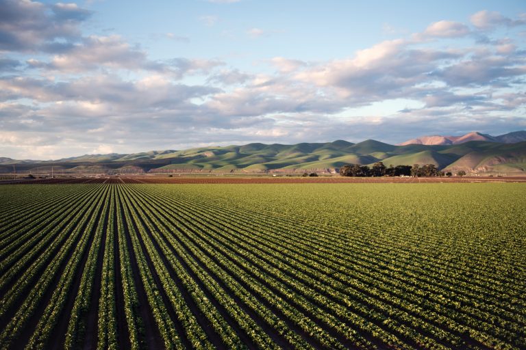 State agriculture to be celebrated virtually for 2021 PA Farm Show