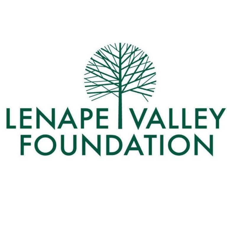 Lenape Valley Foundation hosts free virtual workshop on ADHD in children, teens