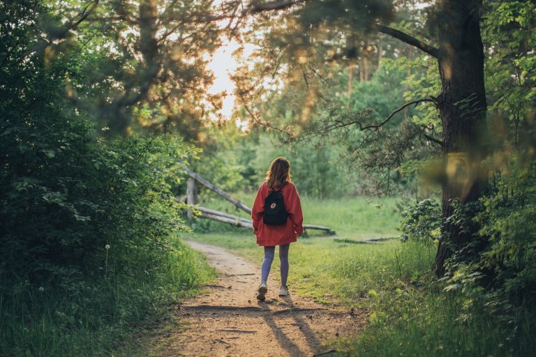 Out-of-state visitors must have negative COVID test or quarantine before visiting parks