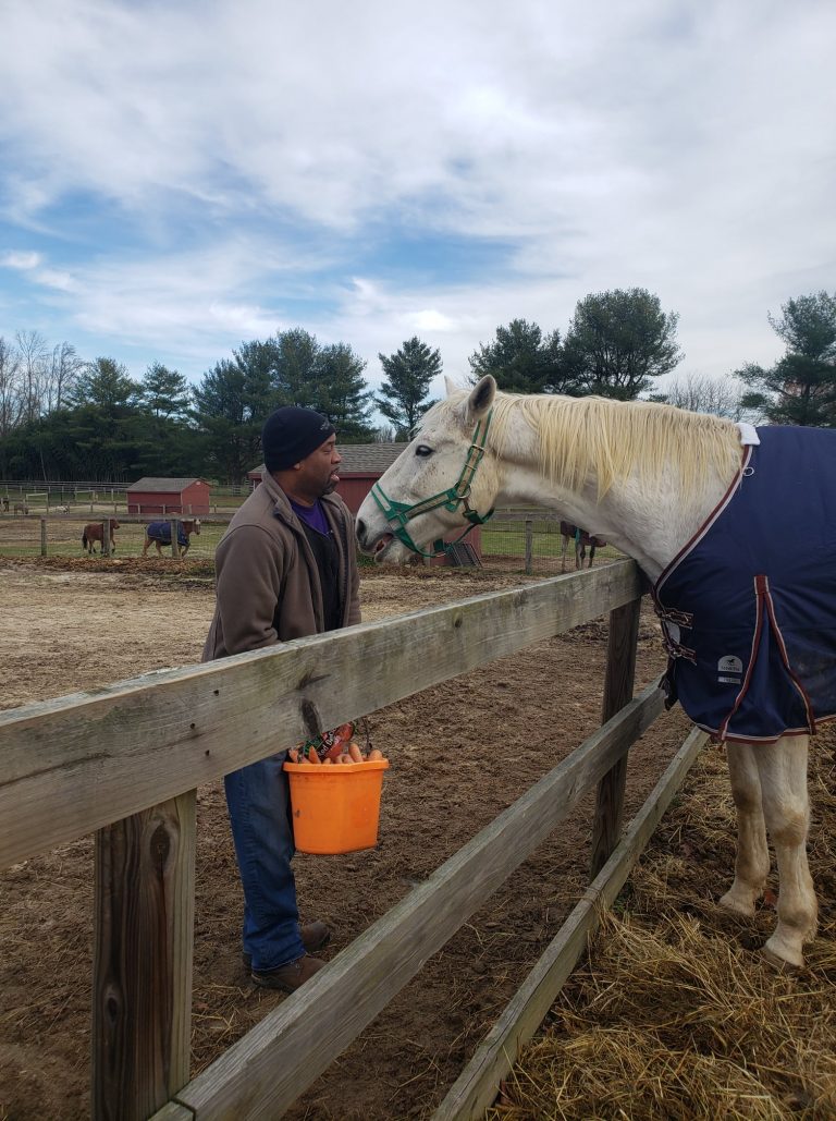 Always Best Care owner helps open rescue farm for horses