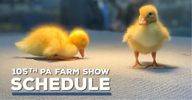 Dept. of Agriculture announces virtual 2021 PA Farm Show events