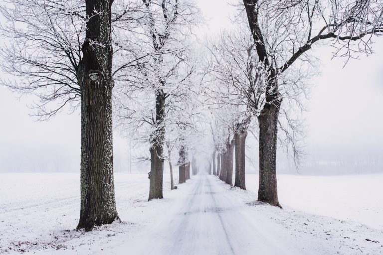 Wolf signs winter weather emergency proclamation for Bucks, other counties