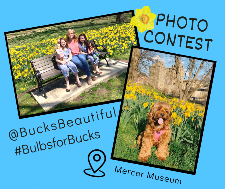 Bucks Beautiful launches 2nd annual daffodil photo contest