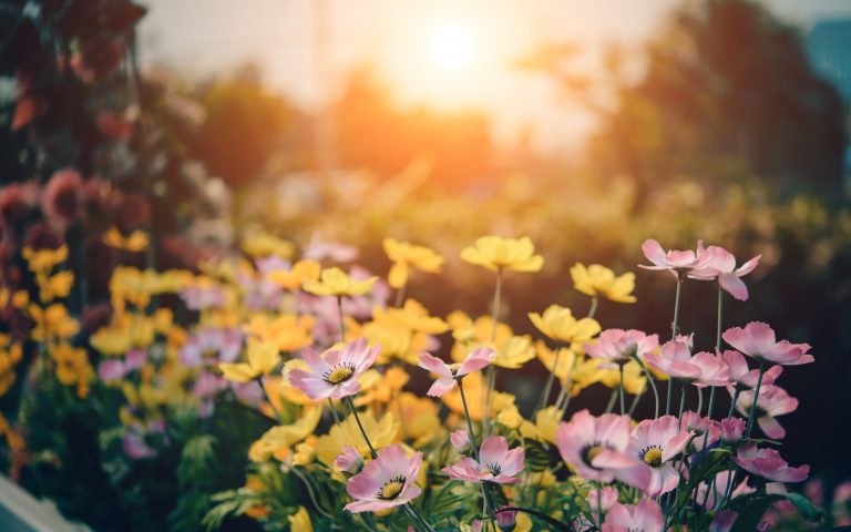 Falls Township Community Garden receives new tools